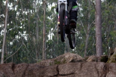 2012XALO-15