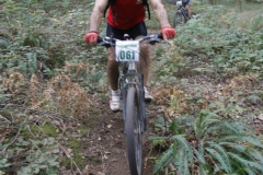 1_247641_420039604723454_335552191_n