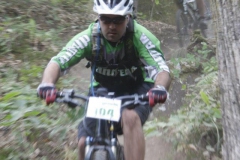 1_248489_420039971390084_2097162623_n