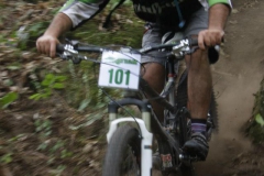 1_3463_420040168056731_68625351_n