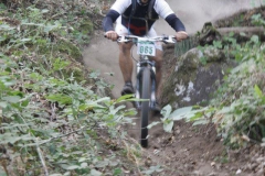 1_541243_420040234723391_1927930789_n
