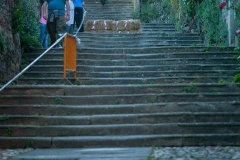2013DHUSARRIA-157