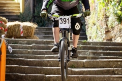 2013DHUSARRIA-55
