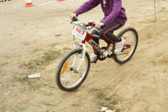 DIA_BICI_SARRIA_2014-221