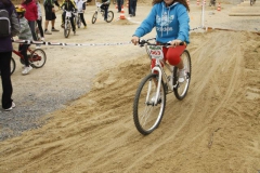 DIA_BICI_SARRIA_2014-234