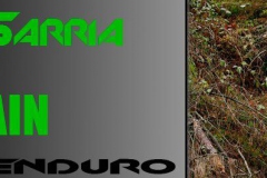 green-3