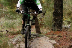 green-32