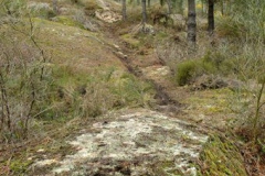 green-40