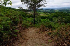 I_DH_OPEN_GALLEGO_DHGALICIA-216