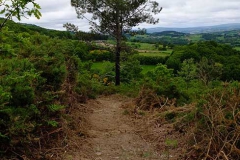 I_DH_OPEN_GALLEGO_DHGALICIA-390