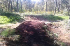 I_DH_OPEN_GALLEGO_DHGALICIA-397