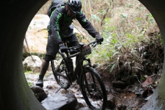 BTTBURELA2013-104