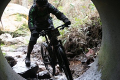 BTTBURELA2013-105