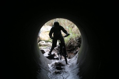 BTTBURELA2013-108