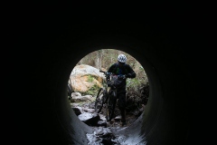 BTTBURELA2013-109