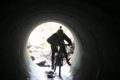 BTTBURELA2013-111