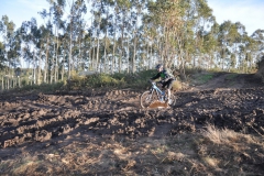 BTTBURELA2013-112