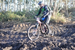 BTTBURELA2013-117
