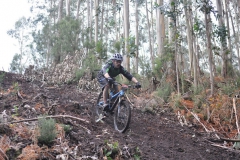 BTTBURELA2013-125