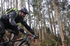 BTTBURELA2013-127