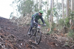 BTTBURELA2013-128