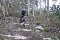 BTTBURELA2013-132