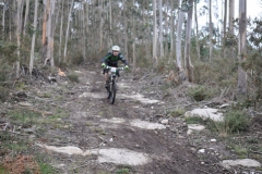 BTTBURELA2013-134