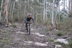 BTTBURELA2013-135