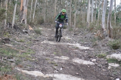 BTTBURELA2013-136