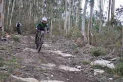 BTTBURELA2013-137