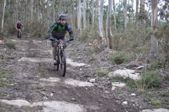 BTTBURELA2013-138
