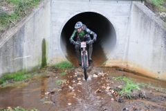 BTTBURELA2013-140