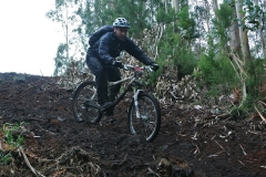 BTTBURELA2013-141