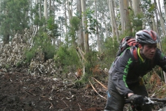 BTTBURELA2013-144
