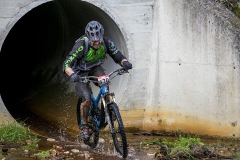 BTTBURELA2013-175