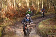 BTTBURELA2013-27