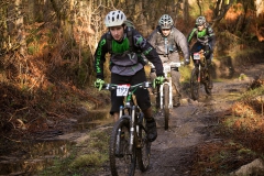 BTTBURELA2013-37