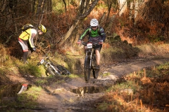 BTTBURELA2013-50