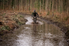 BTTBURELA2013-57