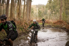 BTTBURELA2013-65