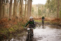BTTBURELA2013-66