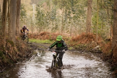 BTTBURELA2013-67