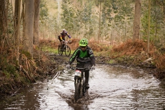 BTTBURELA2013-68