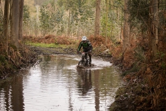 BTTBURELA2013-71