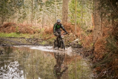 BTTBURELA2013-77