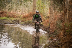 BTTBURELA2013-79