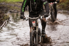 BTTBURELA2013-88