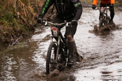 BTTBURELA2013-90