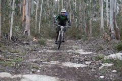 BTTBURELA2013-93