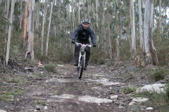 BTTBURELA2013-94
